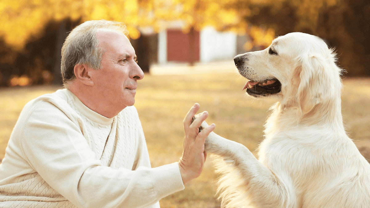 Photo inspiration: Fresh Look at How Dogs Can Help Humans Prevent Dementia